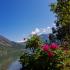Apartments &quot;Đule&quot; Morinj, private accommodation in city Morinj, Montenegro - Dvoriste (4) - Copy